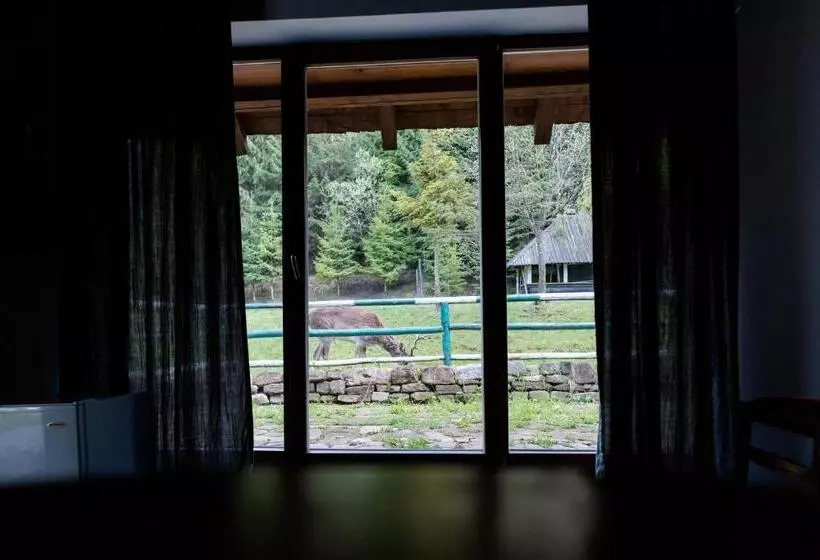 Pensiunea Casa Bunicilor