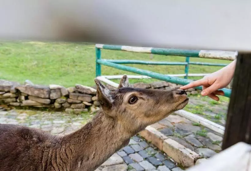 Pensiunea Casa Bunicilor