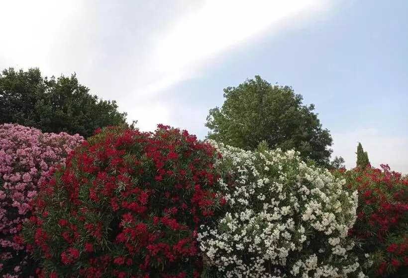 ホテル Agriturismo Podere San Carlo
