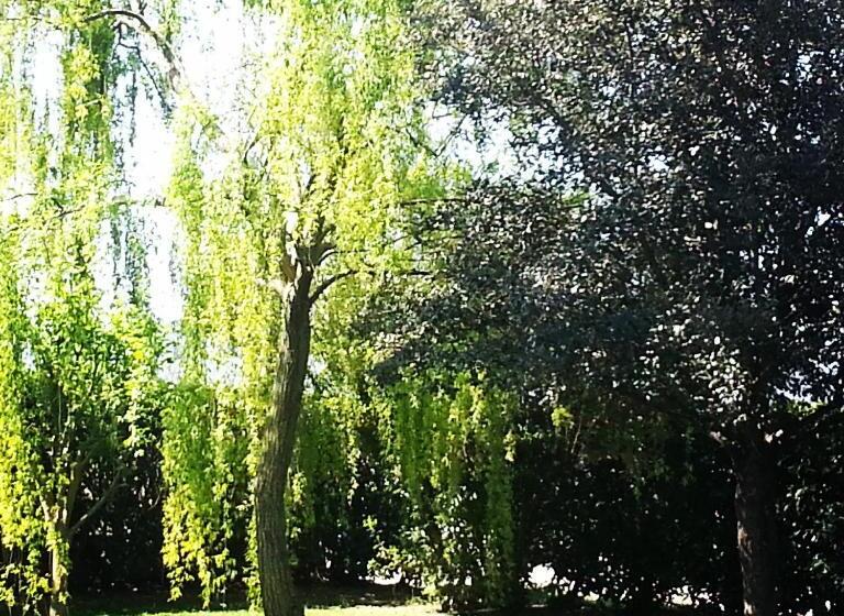 בית מלון כפרי Agriturismo Podere San Carlo