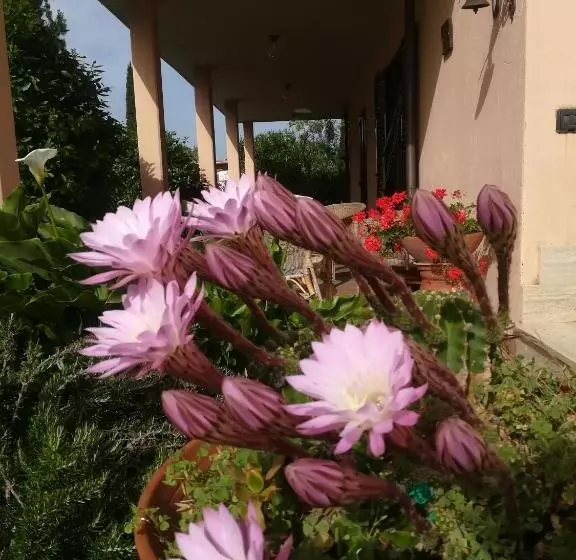 ホテル Agriturismo Podere San Carlo