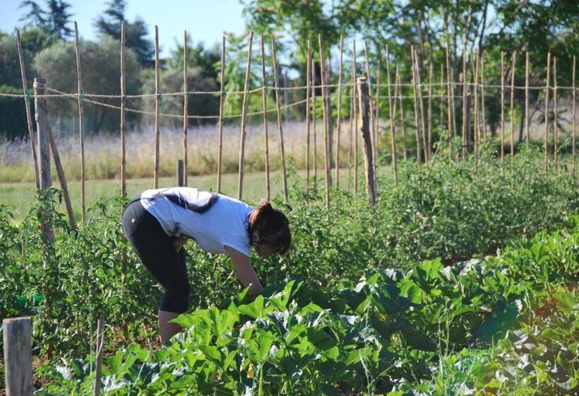 ホテル Agriturismo Le Torri Di Porsenna