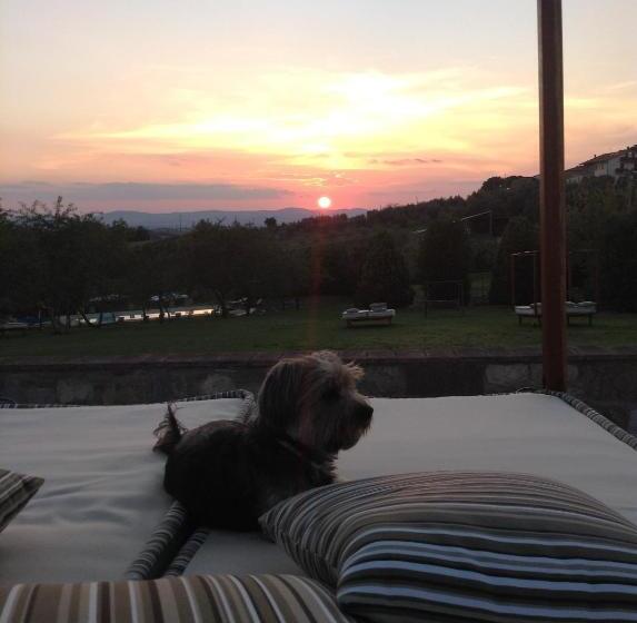 ホテル Agriturismo Le Torri Di Porsenna