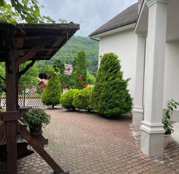 پانسیون вилла поляна