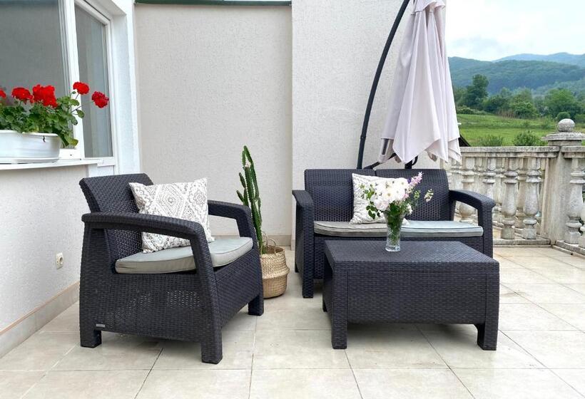 پانسیون вилла поляна