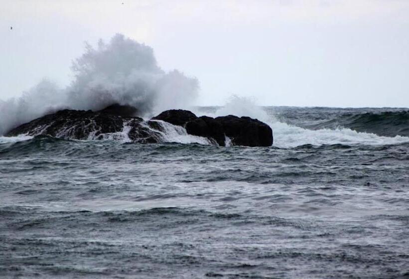 펜션 Tangra Guest House