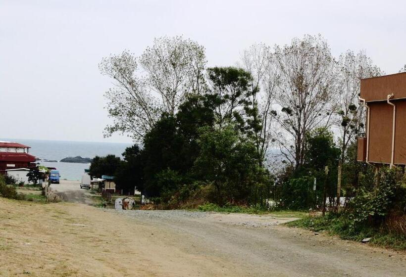 펜션 Tangra Guest House