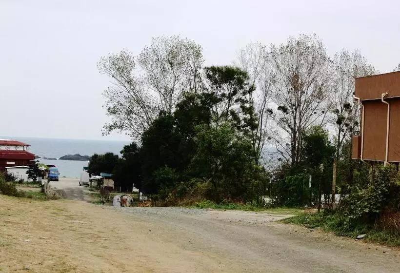 ペンション Tangra Guest House