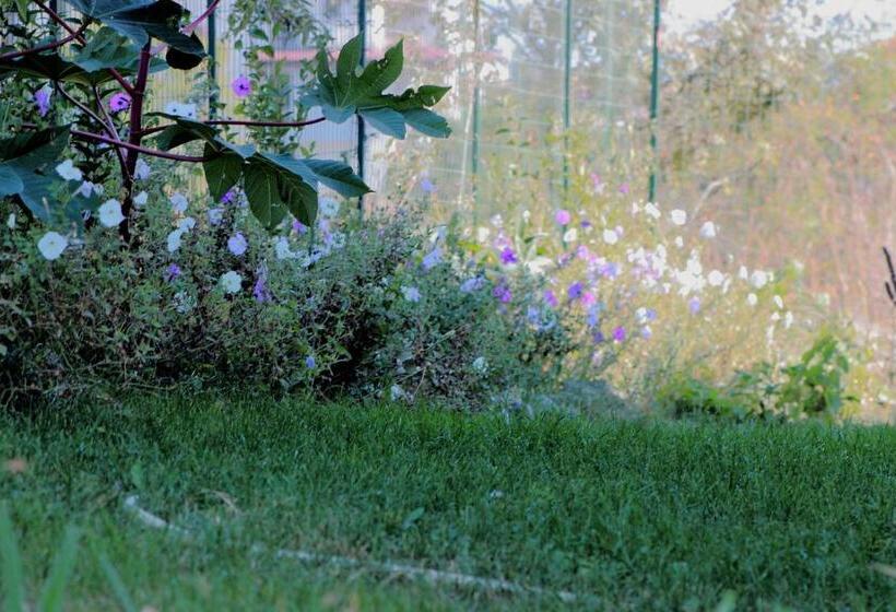 펜션 Tangra Guest House