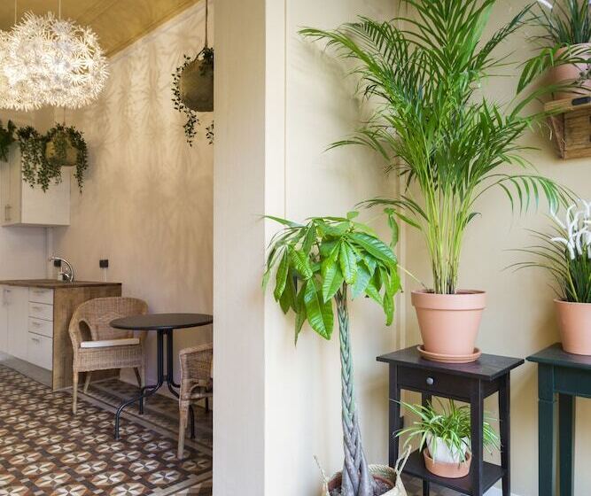 Bed and Breakfast Casa Maca Guest House