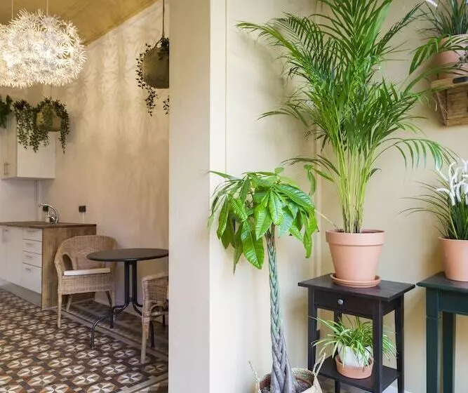 Bed and Breakfast Casa Maca Guest House