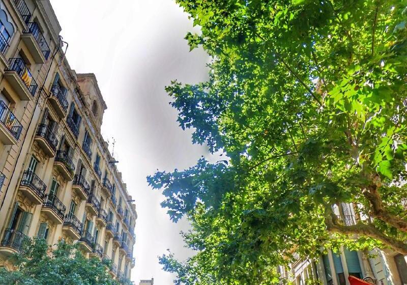 Bed and Breakfast Casa Maca Guest House