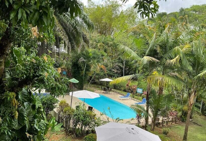 בית מלון כפרי Diquis Del Sur