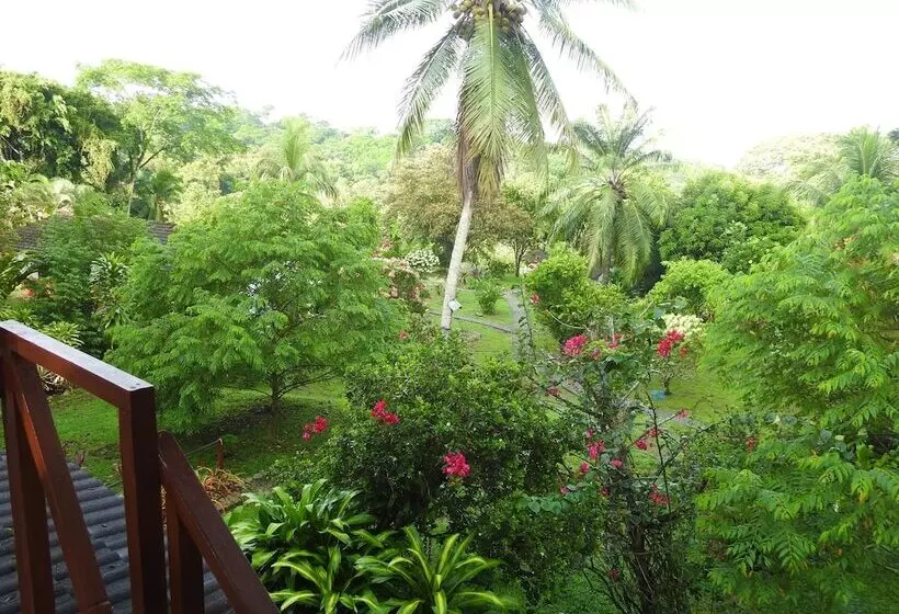 Отель Diquis Del Sur