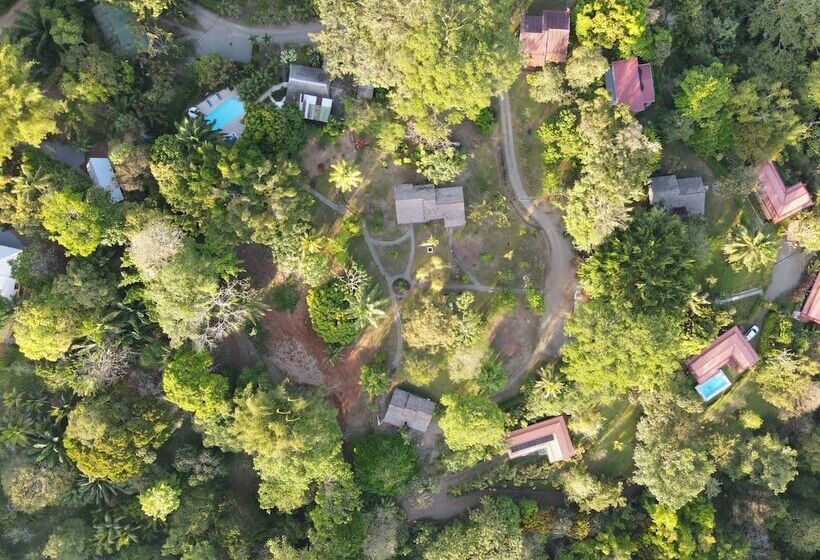 בית מלון כפרי Diquis Del Sur