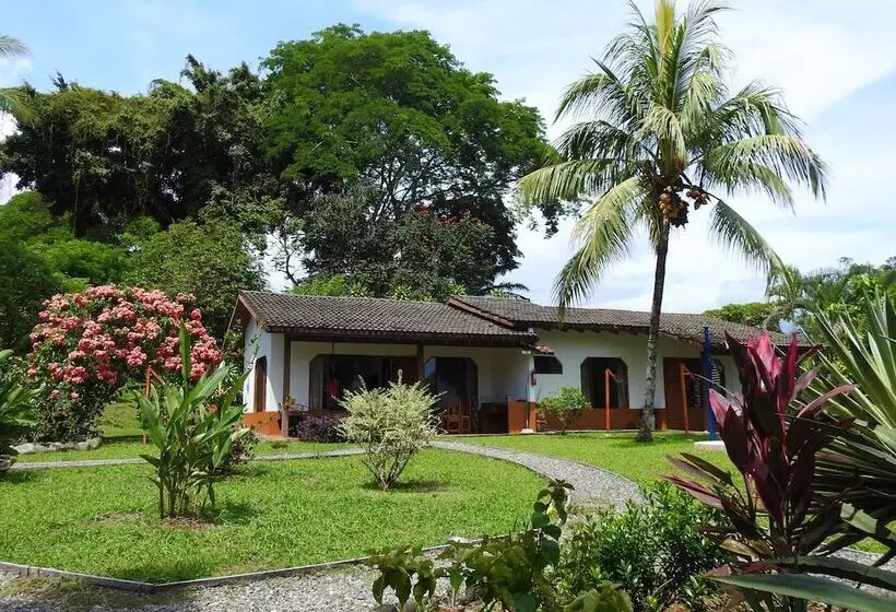 Отель Diquis Del Sur