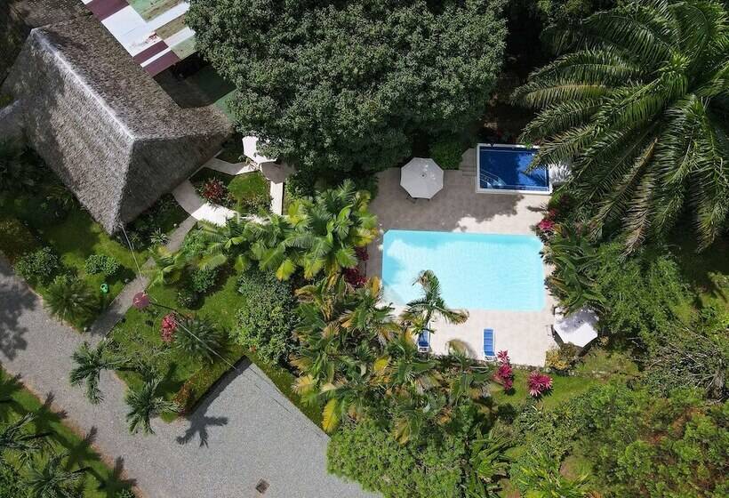 בית מלון כפרי Diquis Del Sur