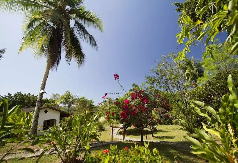 Отель Diquis Del Sur