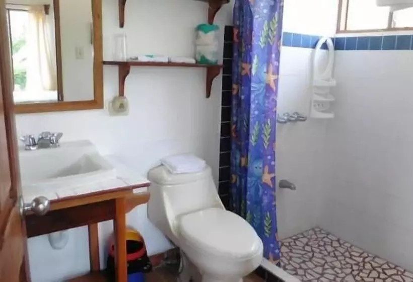 Отель Diquis Del Sur