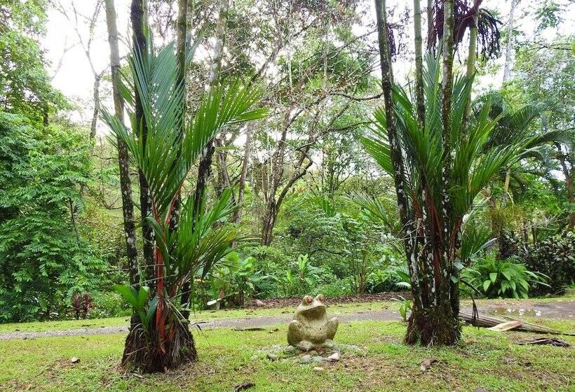 בית מלון כפרי Diquis Del Sur