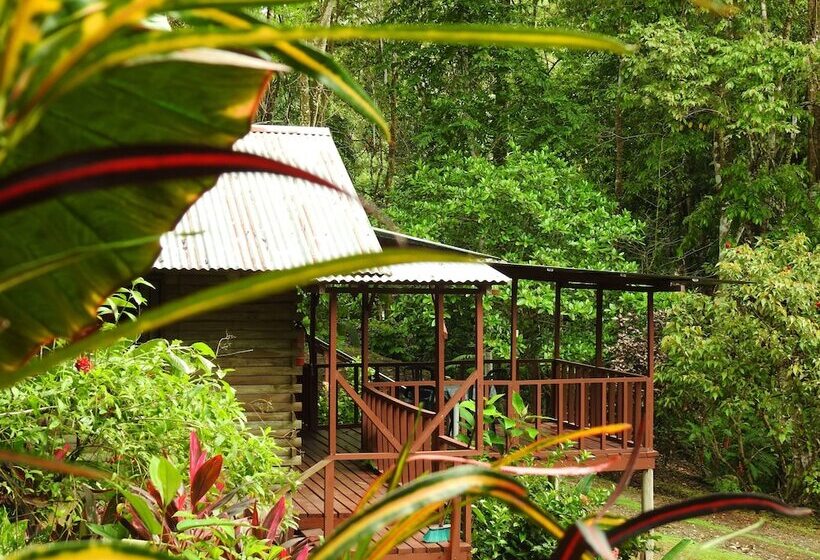 בית מלון כפרי Diquis Del Sur