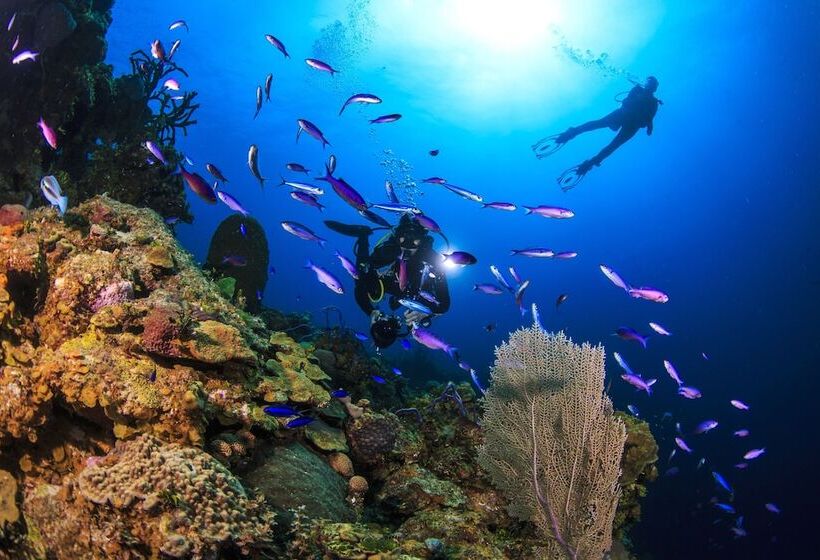 هتل Gems At Paradise Beach