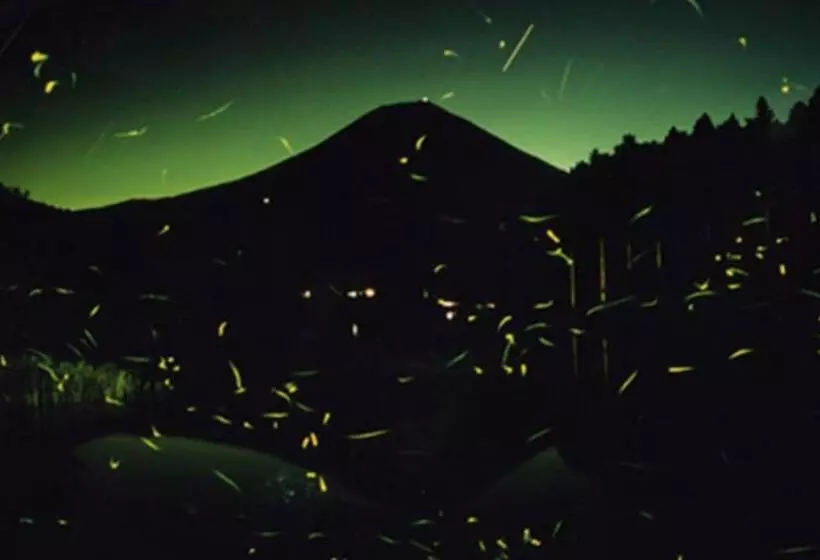 Отель Kyukamura Fuji