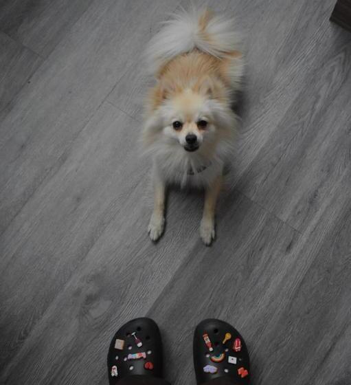 Отель Park Nilo Reforma