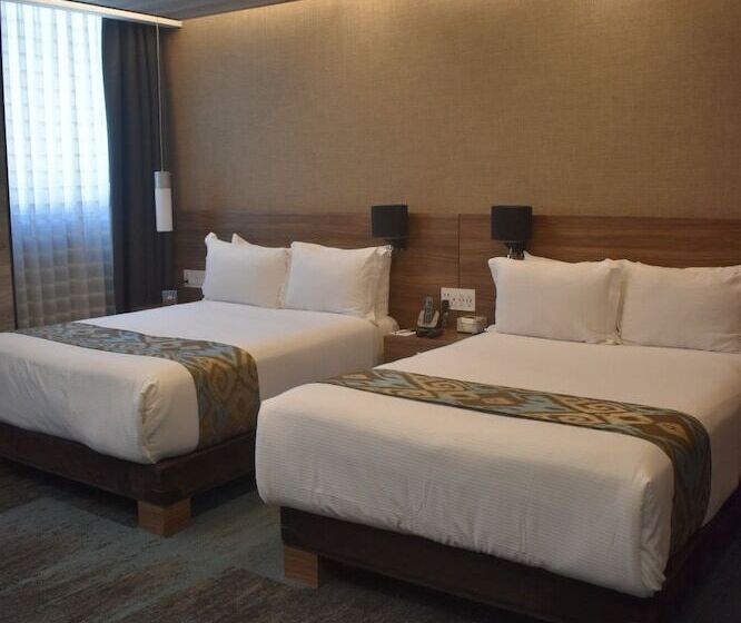 Отель Park Nilo Reforma