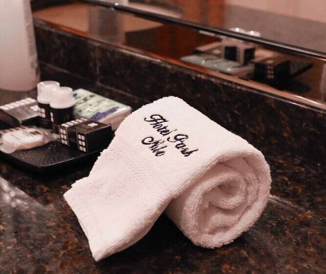 Отель Park Nilo Reforma