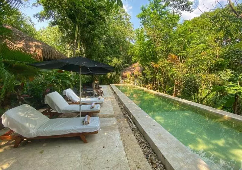 Отель Piedra De Agua Palenque