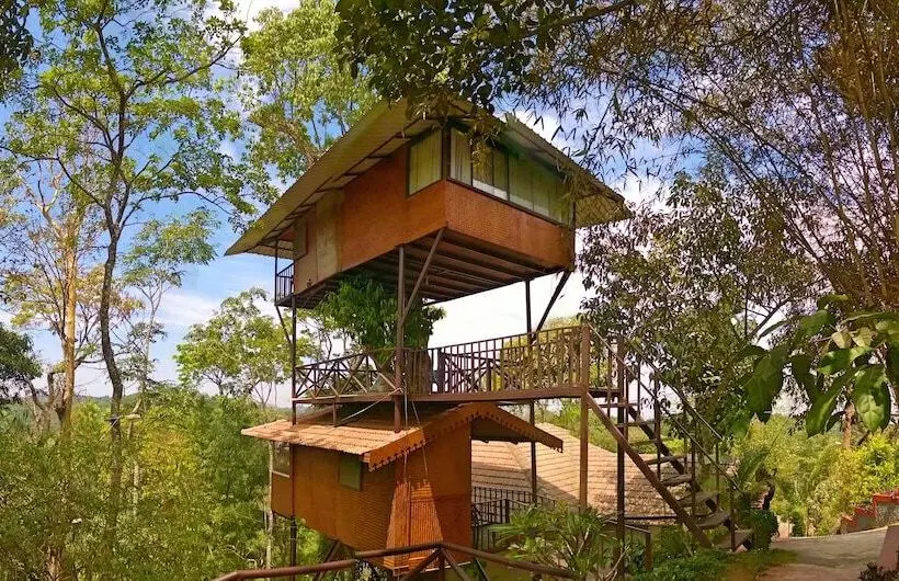 Отель Porcupine Castle