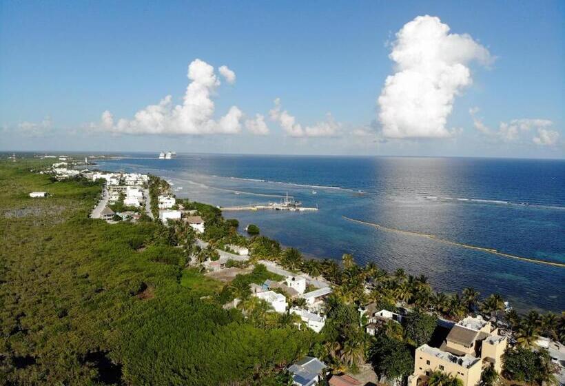 فندق Luna De Plata