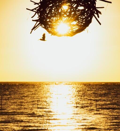 فندق Luna De Plata