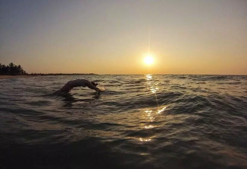 Kurort  Wellé Wadiya Beach Villa