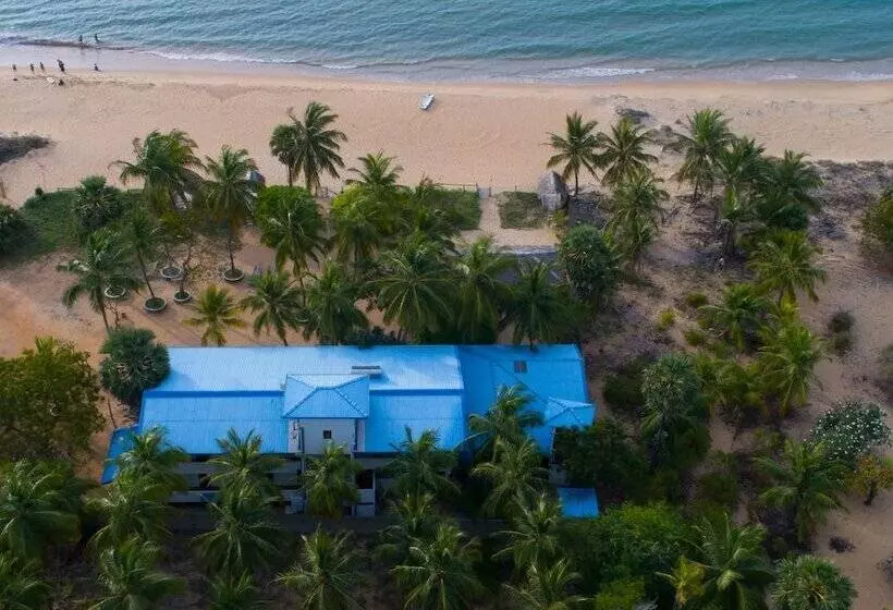 Kurort  Wellé Wadiya Beach Villa