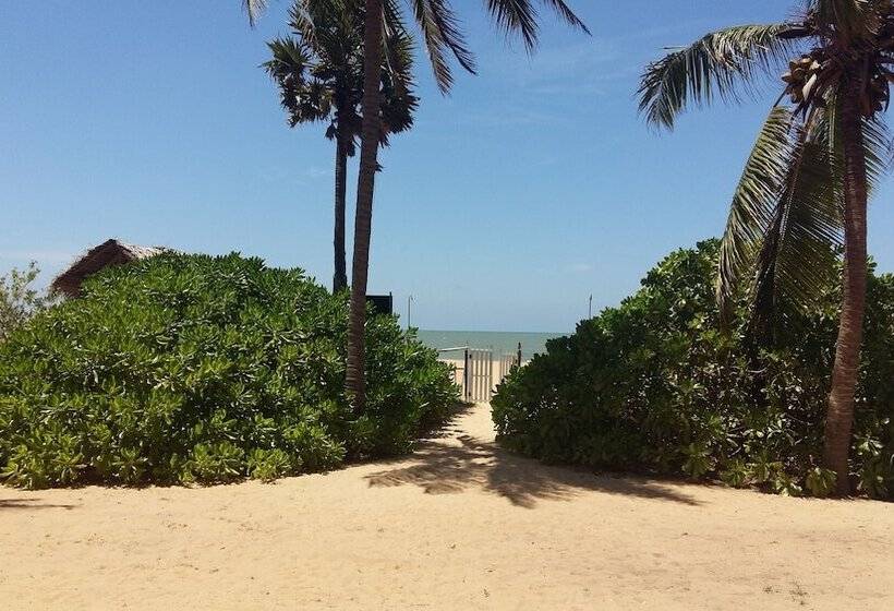 渡假胜地  Wellé Wadiya Beach Villa