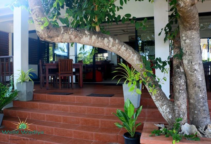 渡假胜地  Wellé Wadiya Beach Villa