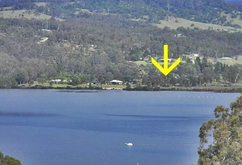 Top Of The Lake Units