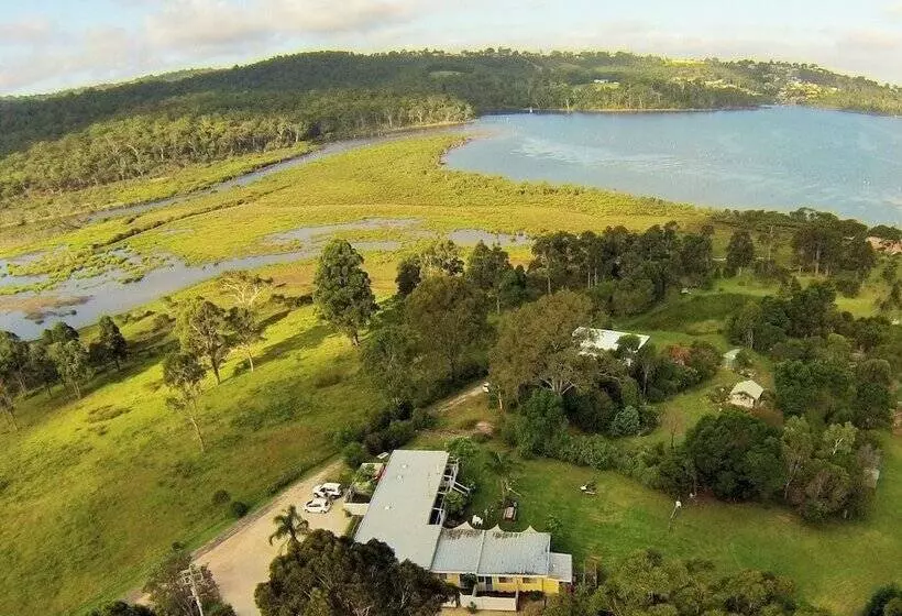 Top Of The Lake Units