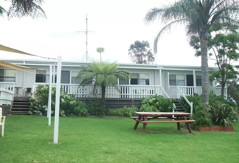 Top Of The Lake Units