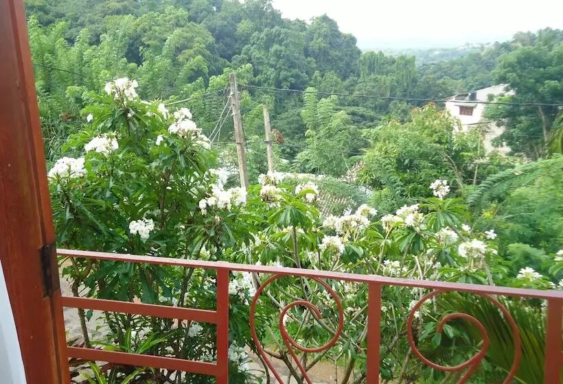 酒店 Nature Walk Resort