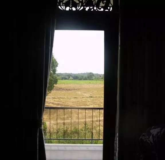 酒店 Welimaluwa Resort