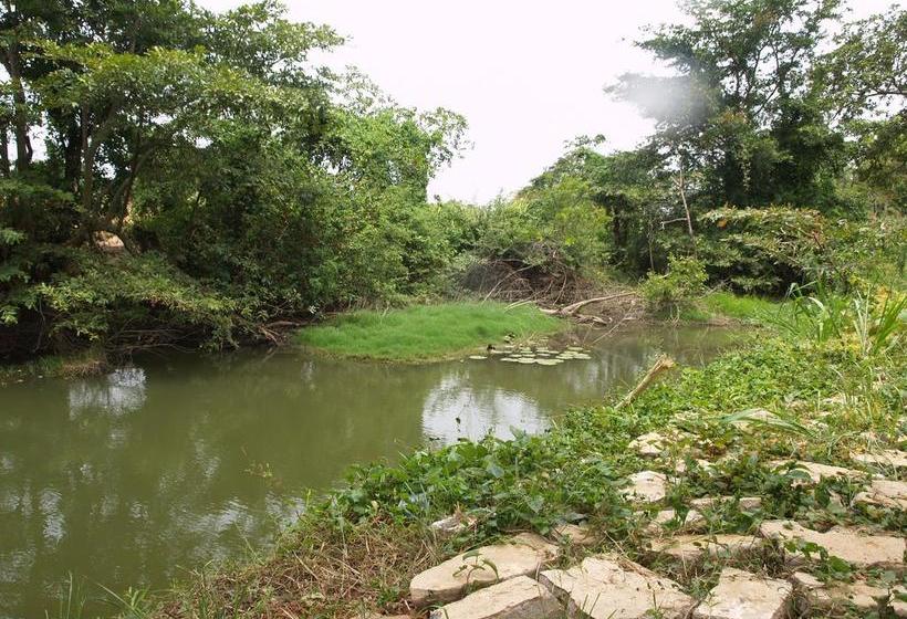 فندق Welimaluwa Resort