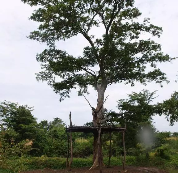 酒店 Welimaluwa Resort