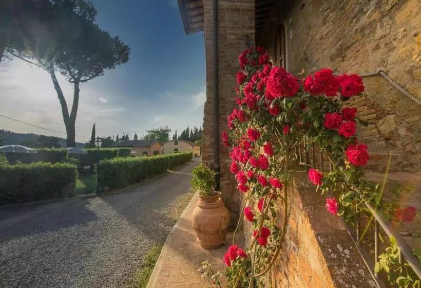 Fattoria Di Pancole