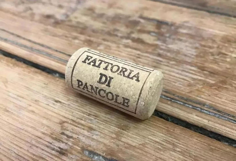 Fattoria Di Pancole