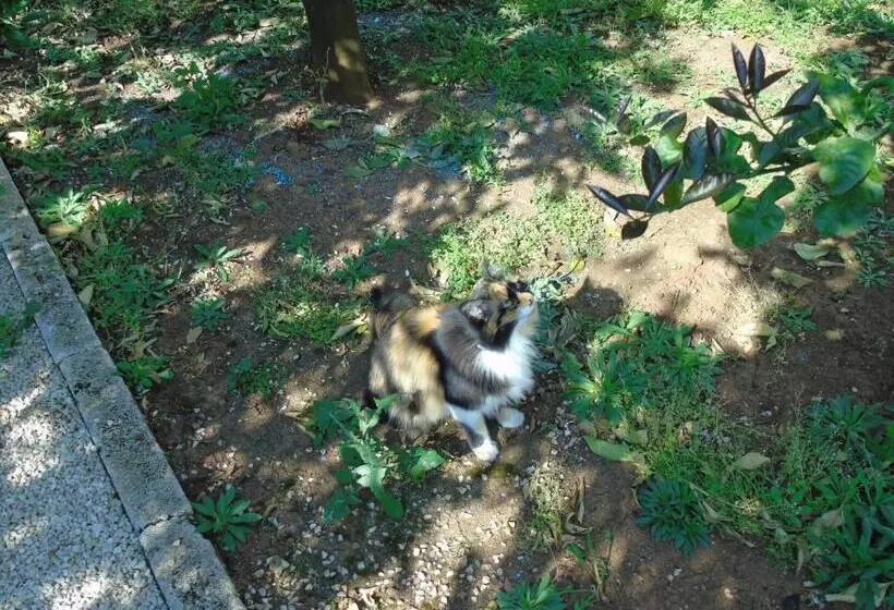 Bed and Breakfast Villa Tonia