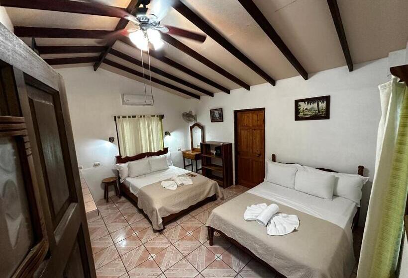 酒店 Loma Real Hot Springs Bed & Breakfast