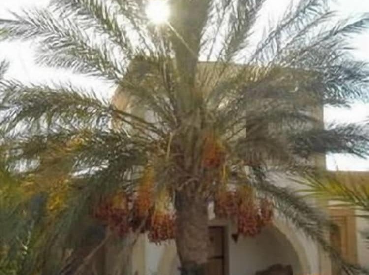 بنسيون Dar Zargouni